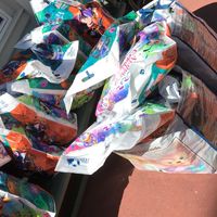 ディズニーせどり情報