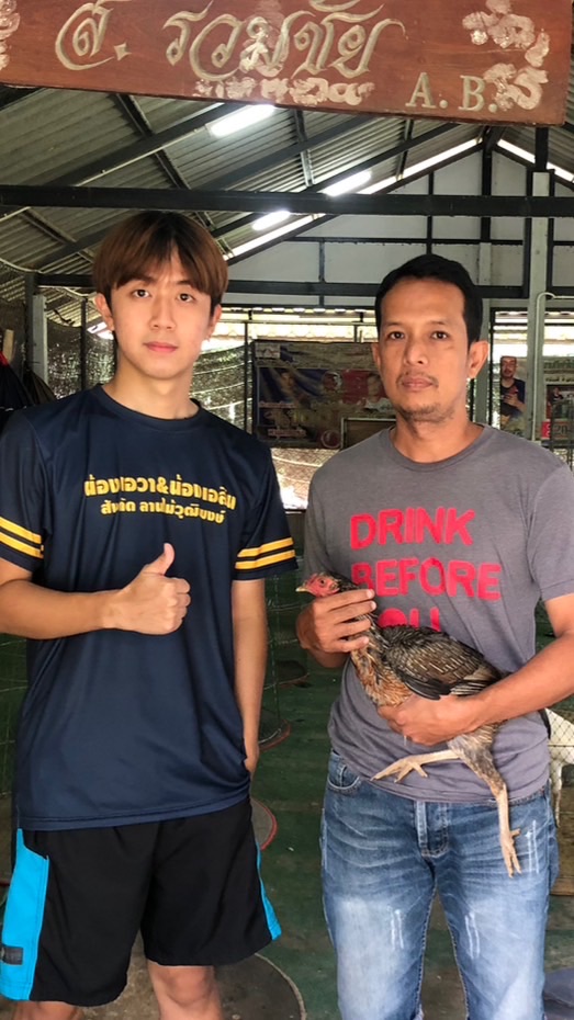 ส.พรชัย ฟาร์มแหล่งพัฒนาสายพันธุ์ ส.รวมชัย&จักริน