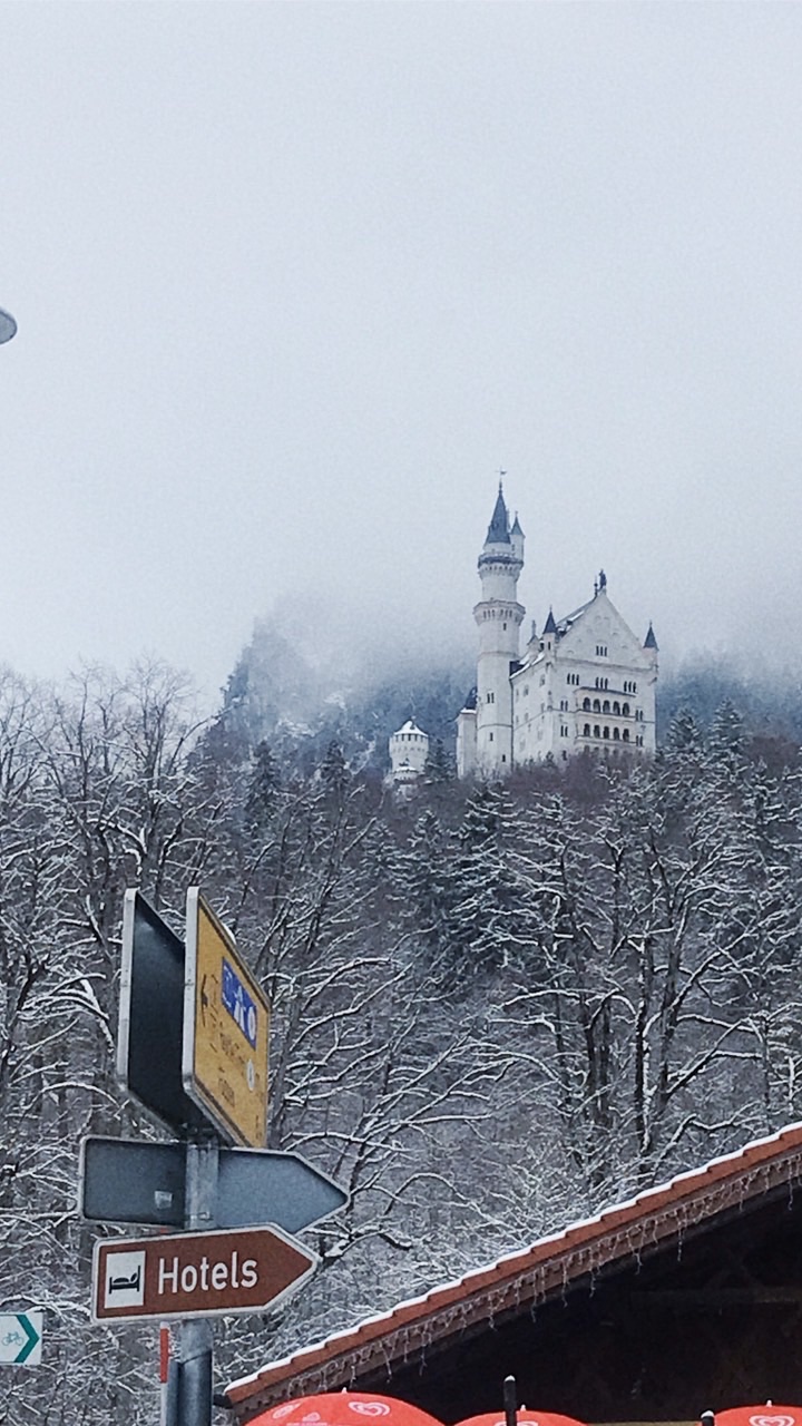 ドイツ語を楽しんで一緒に学ぼう🇩🇪