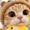 〔☆678☆〕家教班