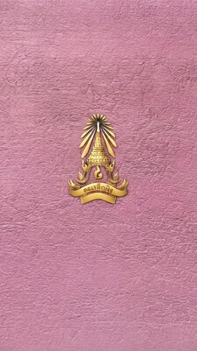 คณะสีภูพิงค์ ๒๕๖๙ (รวมทุกคน)