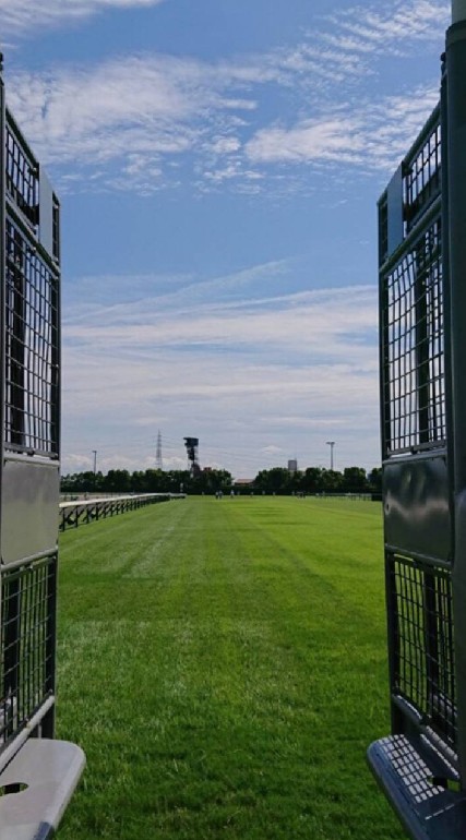 やぴ部屋☆【キャロットクラブ2021募集馬検討会・人参で鯛を釣る！】のオープンチャット