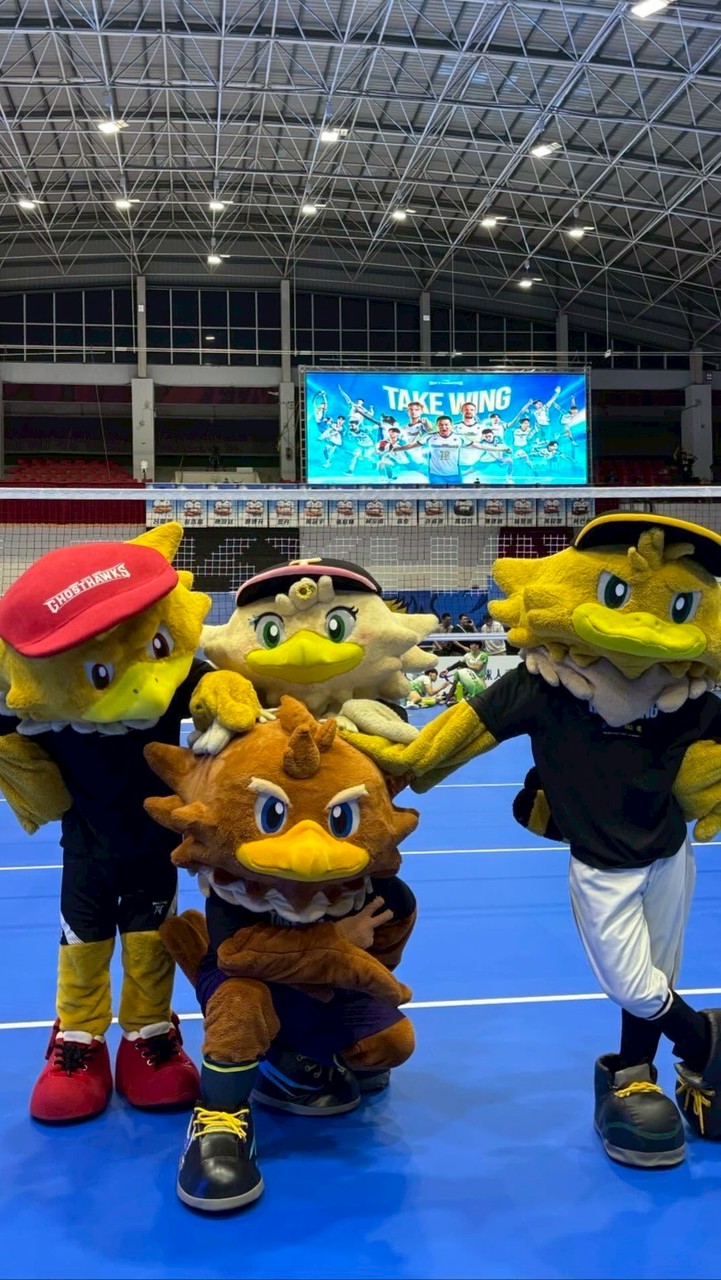 台鋼🦅四物雞賞鷹團