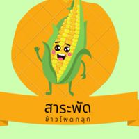สาระพัด-ข้าวโพดคลุก-ข้าวไข่ข้น