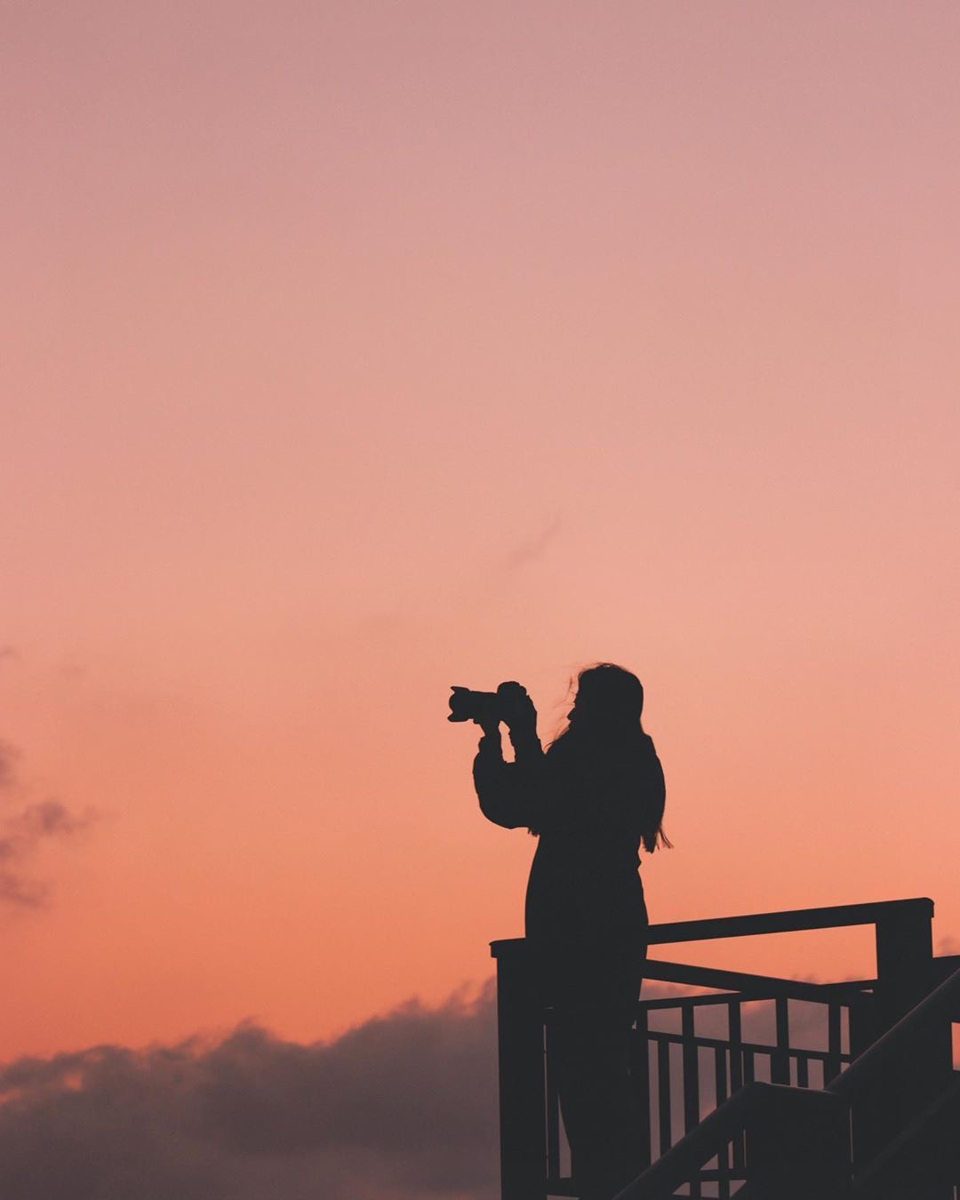 高美濕地 @eric22232