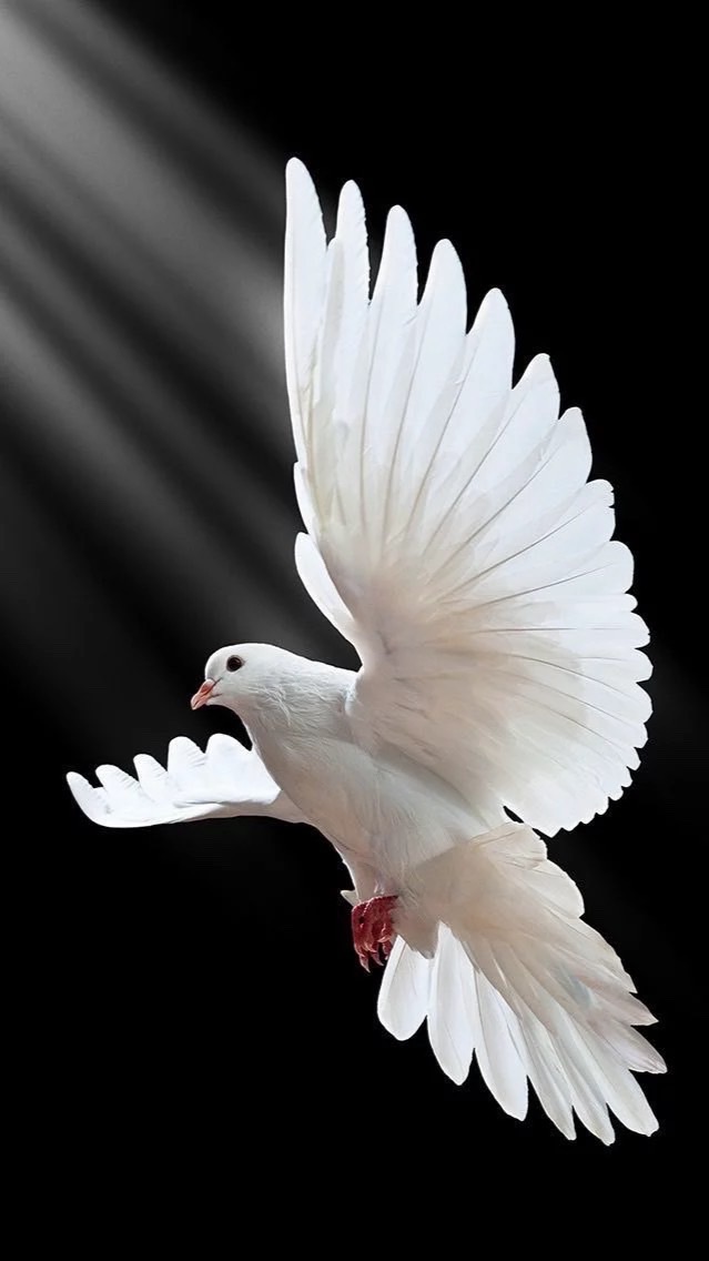ปี1และปี2 Com’m Arts.🧡🕊️