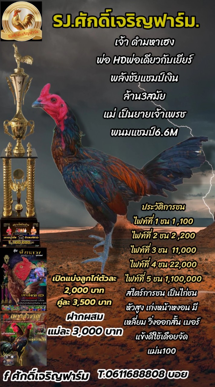 ศักดิ์เจริญฟาร์ม