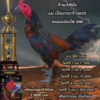 ศักดิ์เจริญฟาร์ม