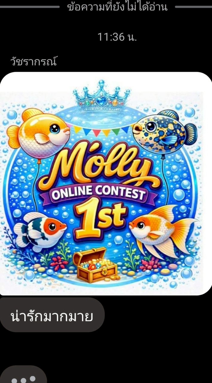 Molly Online Contest 1st