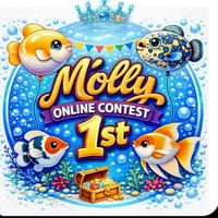Molly Online Contest 1st