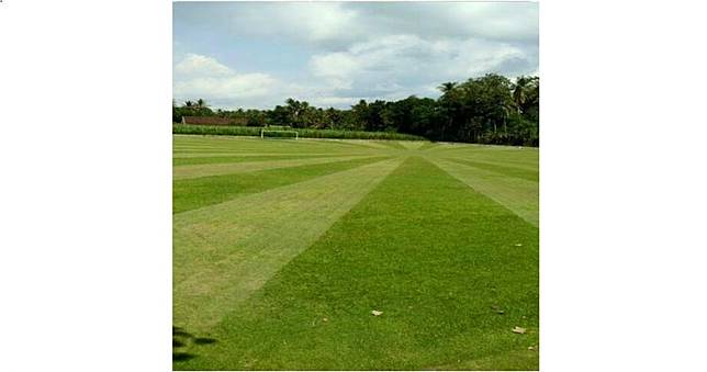 Bukan di Eropa, lapangan sepak bola keren ini ada di Blitar