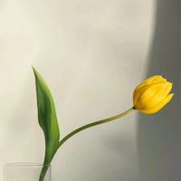 xxxxx國小課後輔導班
