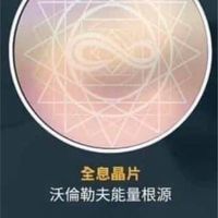 沃倫勒夫量子奇蹟環
