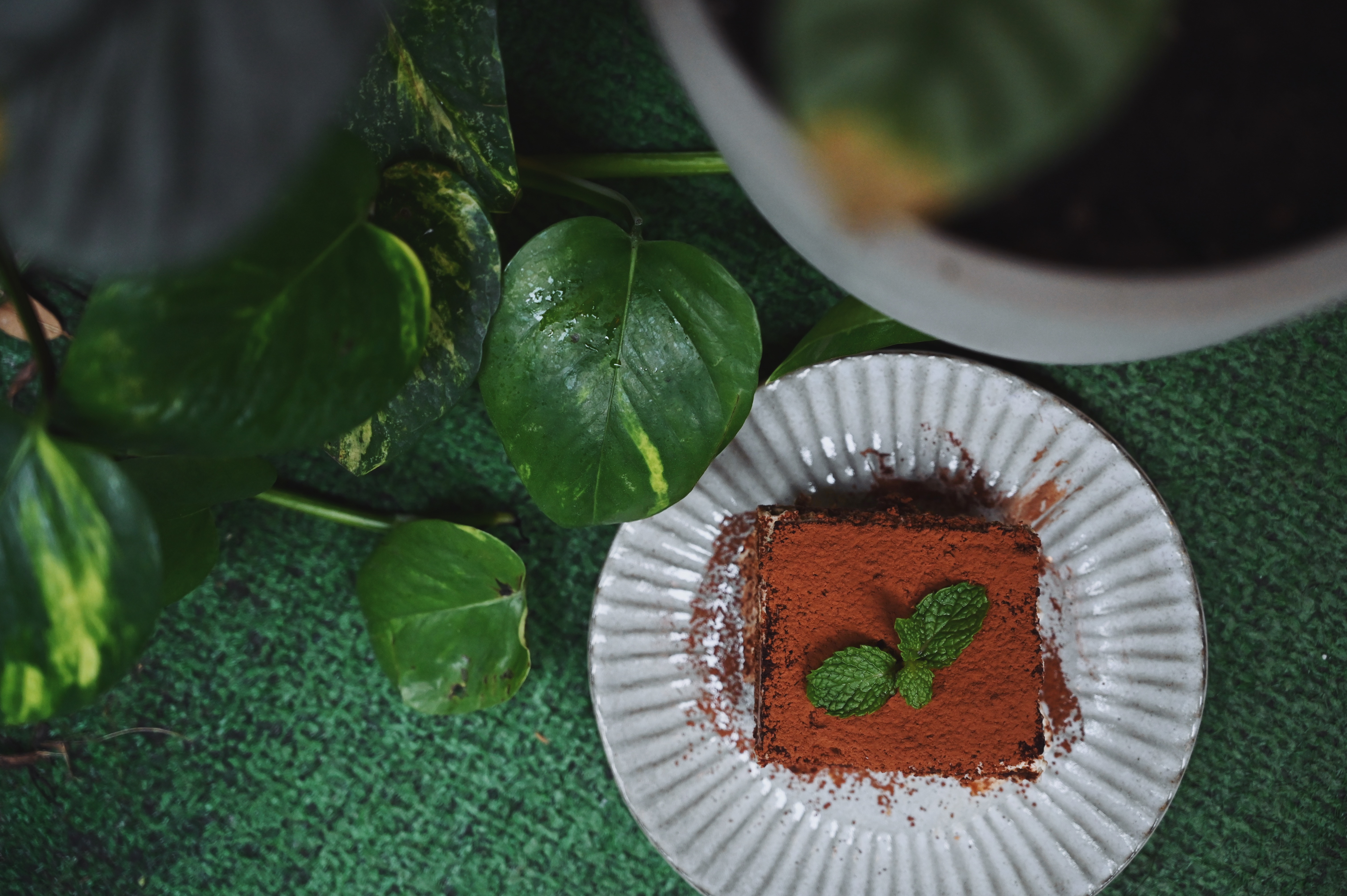 羊毛與花・永康 youmoutoohana Coffee