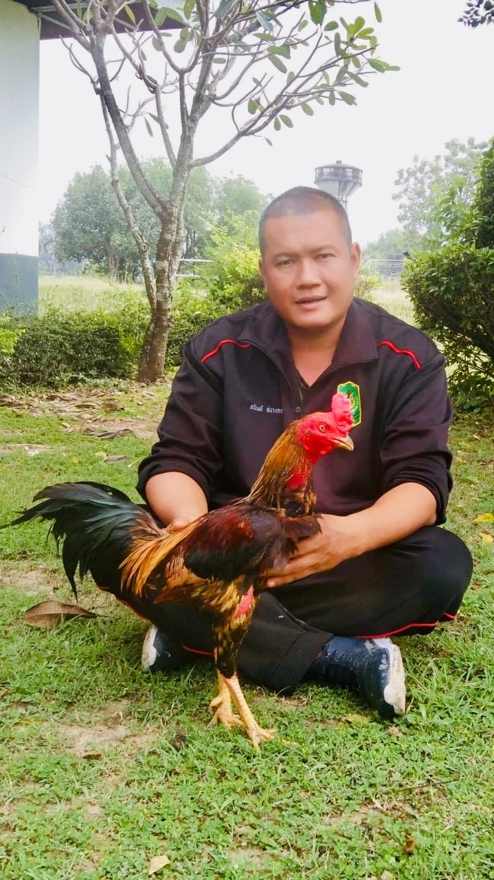 จ่าไก่ ซุ้มสิงโตหิน