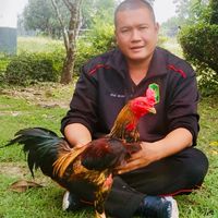 จ่าไก่ ซุ้มสิงโตหิน