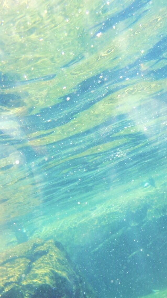 : 𝘁𝘂𝗿𝗾𝘂𝗼𝗶𝘀𝗲 :