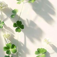 🍀宸友專屬聊天室🍀