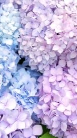 障害者交流室(楽しくトークする部屋)