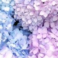 障害者交流室(楽しくトークする部屋)