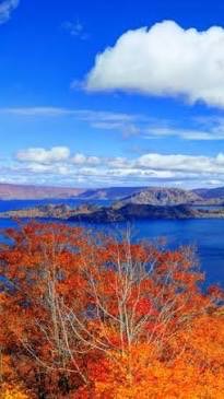 障害者交流室(楽しくトークする部屋)