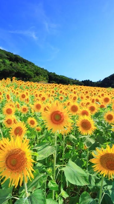 障害者交流室(楽しくトークする部屋)