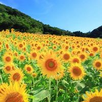 障害者交流室(楽しくトークする部屋)