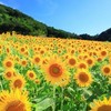 障害者交流室(楽しくトークする部屋)