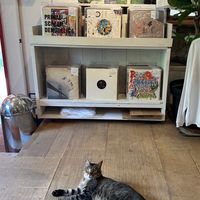 一曲選盤