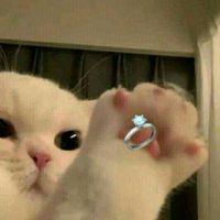 รับทำโปรไฟล์ต่างๆ💓💓