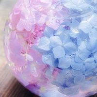 のんびり雑談✩.*˚30代40代50代の少人数の部屋🍀🌱くさのとneko🐱と話そう✨✨✨