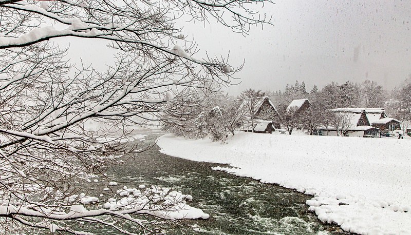 20160120-20160120-IMG_9617