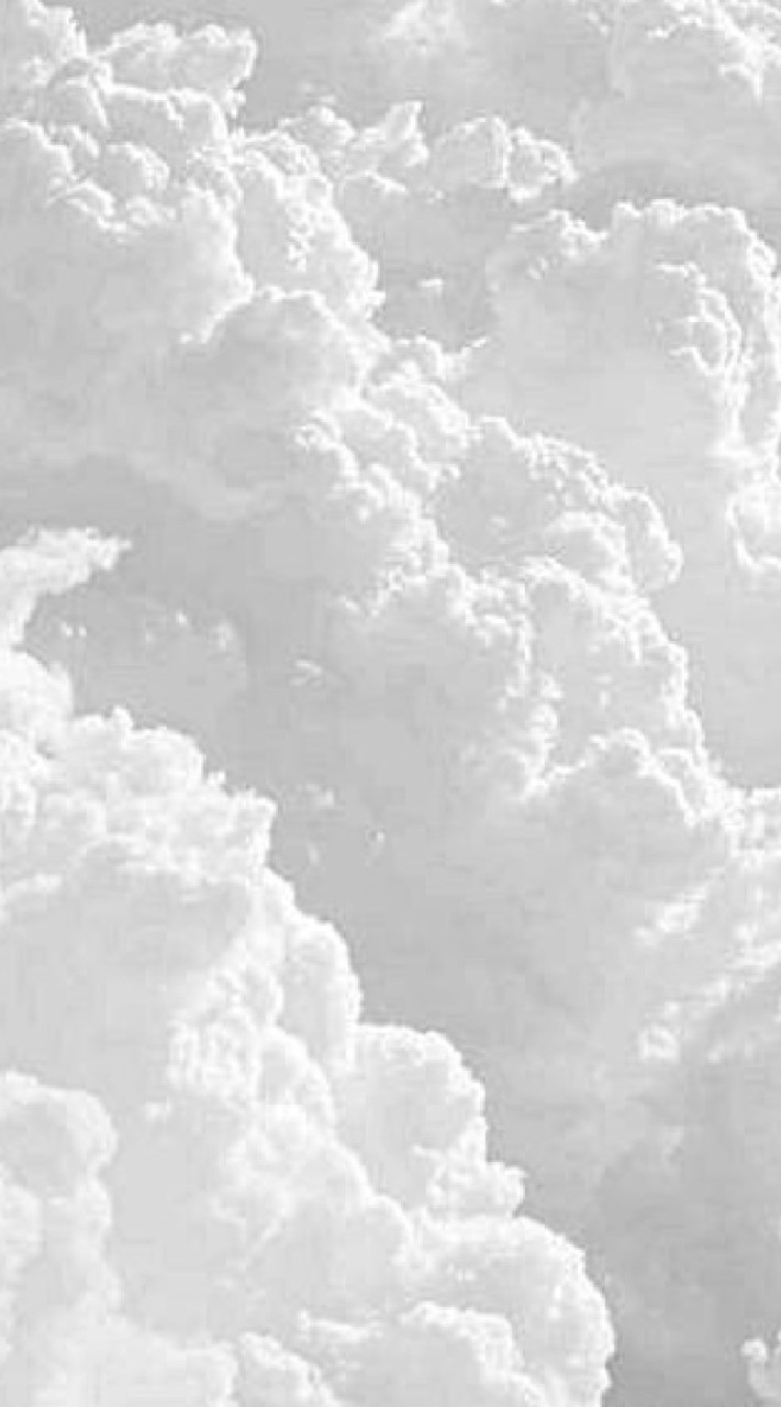 ▚▚▚ 🤍🍃✨ กลุ่ม ⃝ฟอร์มไบโอ 𝐁𝐲. 𝐬𝐞𝐚