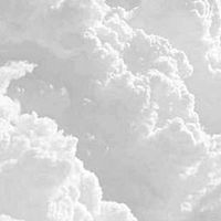 ▚▚▚ 🤍🍃✨ กลุ่ม ⃝ฟอร์มไบโอ 𝐁𝐲. 𝐬𝐞𝐚