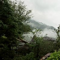 中苗拼布班115-1