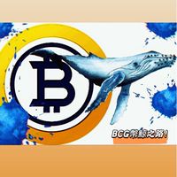 🪙幣鯨之路1688公會-基礎群🐋