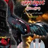ซุ้มเบียร์-อรรคพลไก่ชนฟาร์ม(สโล่หลังสายเลือดเงินล้าน