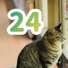 🏪コンビニ☆夜ふかし☆雑談