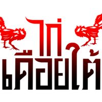 ไก่เดือยใต้VIP