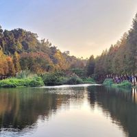 新北市土城山岳協會平台