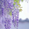 写真投稿(っ'-')╮=͟͟͞♡心のシャッター＆雑談⸜🌷︎⸝‍