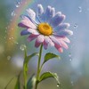 写真投稿(っ'-')╮=͟͟͞♡心のシャッター＆雑談⸜🌷︎⸝‍