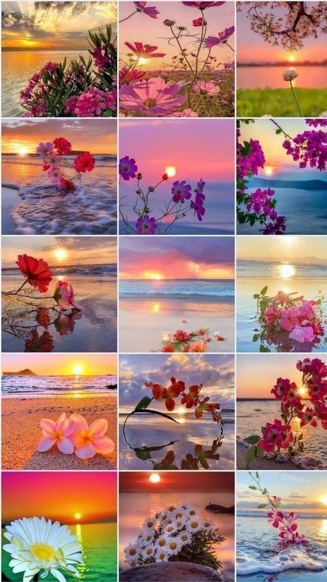 写真投稿(っ'-')╮=͟͟͞♡心のシャッター＆雑談⸜🌷︎⸝‍