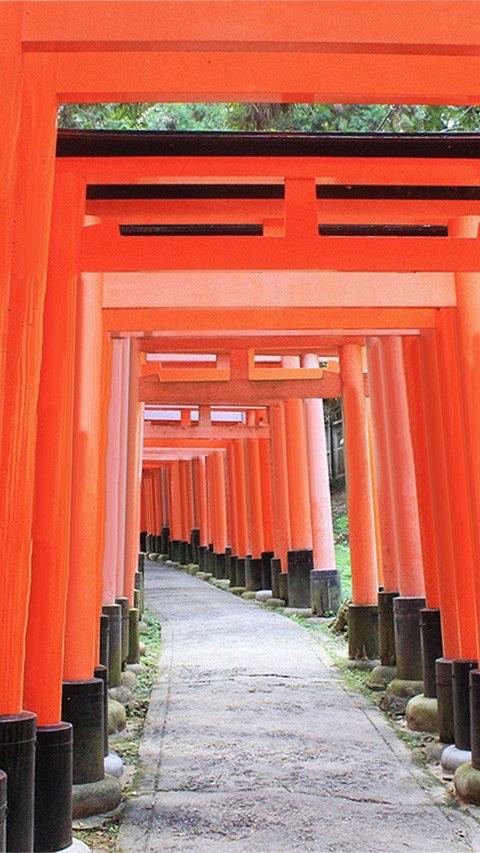 ⛩OC神社でおみくじ報告⛩のオープンチャット