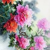 𓆩˚🌸˚𓆪 บุปผาพิทักษ์ราชันย์  𓆩˚🌸˚𓆪 •˚𓊈โรลจีนโบราณ𓊉˚•