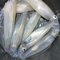 หมึก ปลา กุ้ง ของทะเลต่างๆ