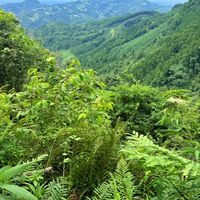 上山看風景