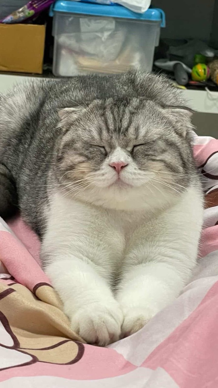 ซีนอลลลหนมน้า~