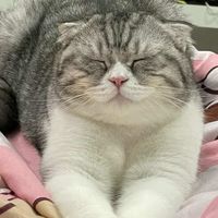 ซีนอลลลหนมน้า~