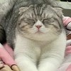 ซีนอลลลหนมน้า~